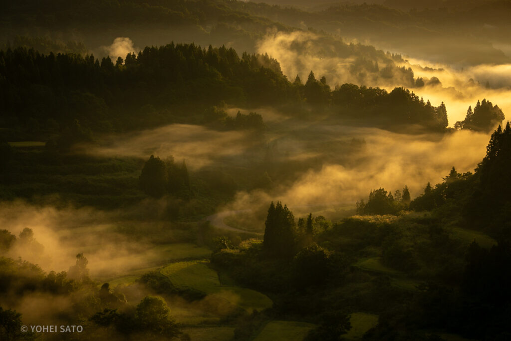 星峠の棚田