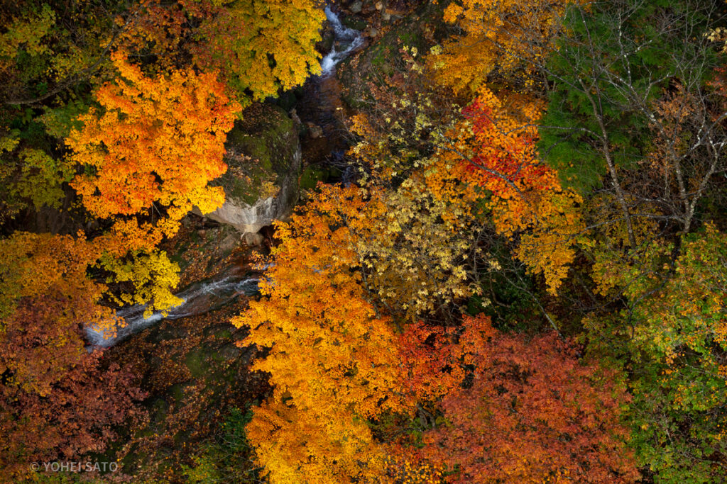 磐梯吾妻スカイライン つばくろ谷の紅葉