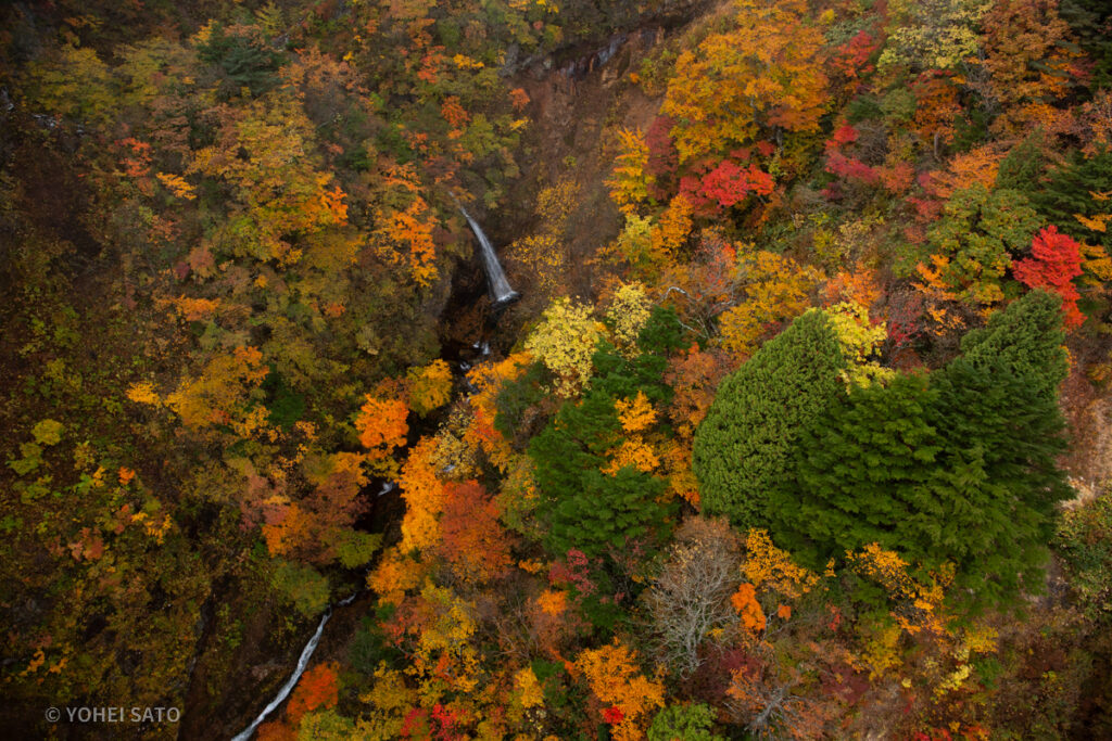 磐梯吾妻スカイライン つばくろ谷の紅葉