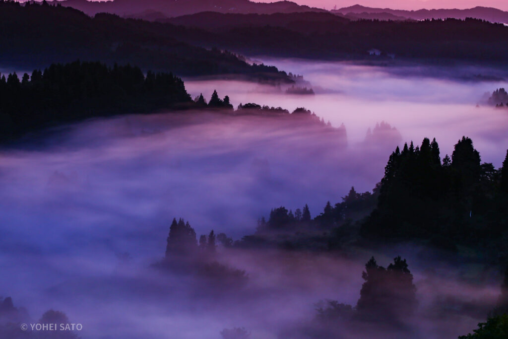 星峠の棚田