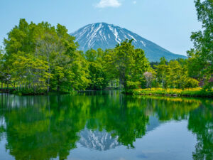 羊蹄山（蝦夷富士）
